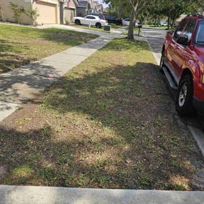 Leaf Removal by R&amp;J Landscaping  reviewed on September 12, 2025