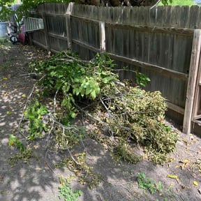 Bush Trimming by Dr.  Lawns reviewed on December 18, 2025