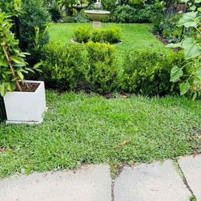 residential landscaping by J Jr’s Lawn Maintenance reviewed on August 19, 2025