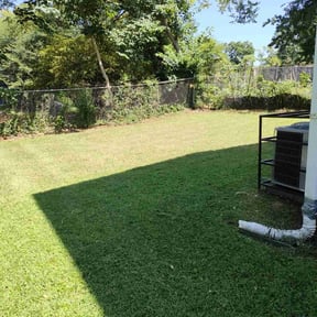 grass maintenance by Terrence Johnson reviewed on July 24, 2023