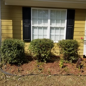 Bush Trimming by Checkmate Before & After Lawn Care Services reviewed on August 16, 2025