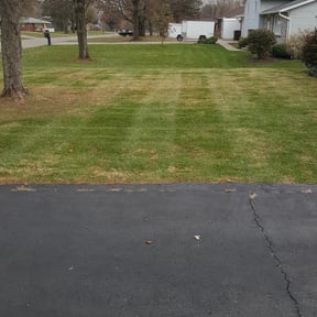 Leaf Removal by A Plus Lawn care reviewed on April 18, 2024