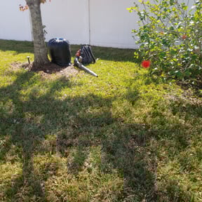 Bush Trimming by Diego Mojica Lawn Care reviewed on May 21, 2024