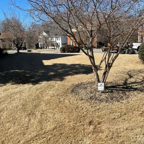 Leaf Removal by Dusk to Dawn Lawncare reviewed on September 16, 2025