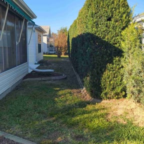 Bush Trimming by McKenzie Landscaping reviewed on November 19, 2025