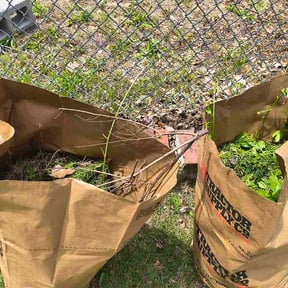 Bush Trimming by Southbound Lawn Services reviewed on June 1, 2026
