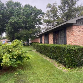 Bush Trimming by MVP Lawn &amp; Landscaping reviewed on October 24, 2025