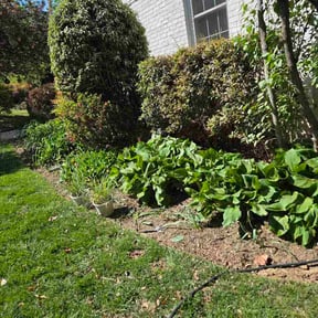 Flower Bed Weeding by Cale reviewed on April 20, 2026
