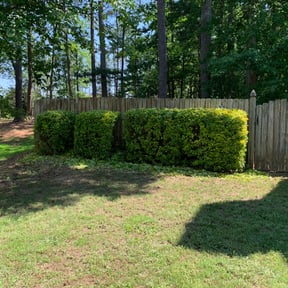 Bush Trimming by H.I.S Landscaping and more reviewed on August 20, 2025