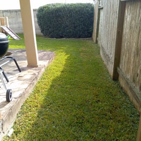 Bush Trimming by Landscape Management reviewed on August 19, 2025