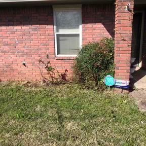 Bush Trimming by Quick Cuts reviewed on March 17, 2026