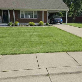 yard service by MM Landscaping Services LLC reviewed on November 19, 2025