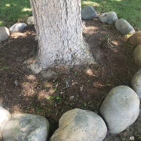 Flower Bed Weeding by Chuyin's Lawn Care LLC reviewed on August 20, 2025