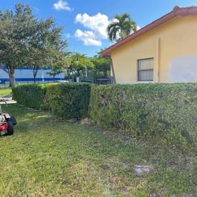 Bush Trimming by Ezcuts complete lawncare reviewed on August 17, 2025