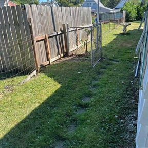 Leaf Removal by AB Flores Landscaping reviewed on September 15, 2025