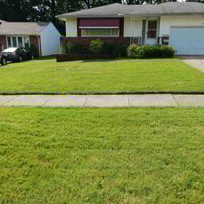 residential landscaping by Mitchell's Home Solutions reviewed on August 15, 2025