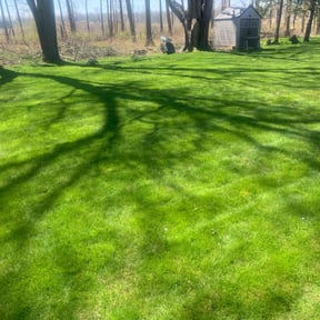 residential landscaping by Checkpoint Lawn services reviewed on August 19, 2025