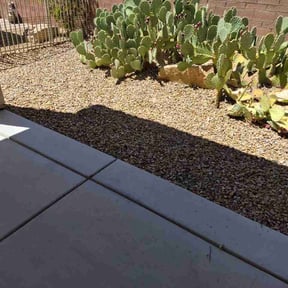 Leaf Removal by Owen Lawn Service reviewed on July 9, 2026