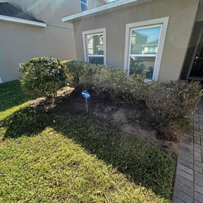 Bush Trimming by Turbo Lawn Care reviewed on August 2, 2023