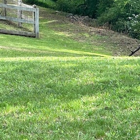 turf care by Delgado landscaping reviewed on July 5, 2025