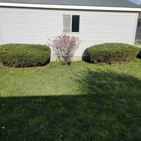Bush Trimming by Vazquez Exterior Maintenance reviewed on August 19, 2025