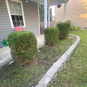 Bush Trimming by Above &amp; Beyond Landscaping LLC reviewed on July 30, 2026