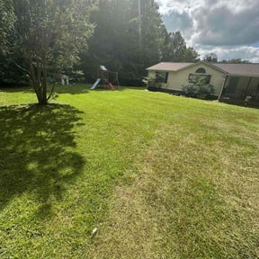 turf maintenance by Medina lawns service reviewed on December 29, 2023