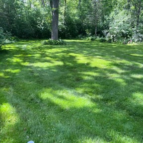 Cleanups by Clover construction LLC reviewed on August 16, 2025