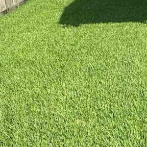 landscaping services by GOT GRASS? LLC reviewed on August 17, 2025