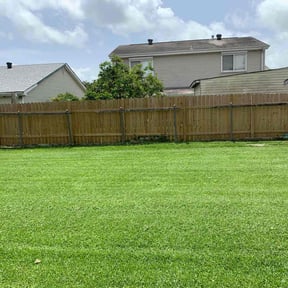landscaping services by Fresh Greens Lawn care co. reviewed on August 18, 2025