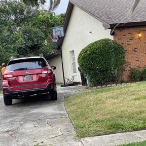 Bush Trimming by Bright Landscaping Services reviewed on August 17, 2025