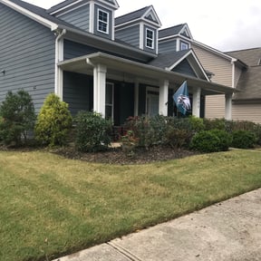 Bush Trimming by ProHill Lawn &Home Care LLC reviewed on August 21, 2025