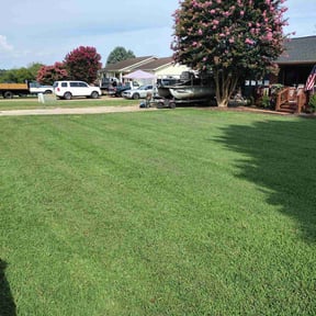 residential landscaping by Toby&#039;s lawns reviewed on November 23, 2025