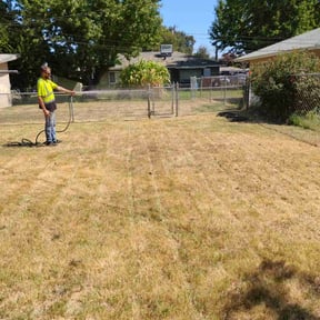 Bush Trimming by DRP Landscaping Services reviewed on November 9, 2017