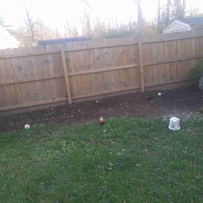 Leaf Removal by House Perfect reviewed on September 15, 2025