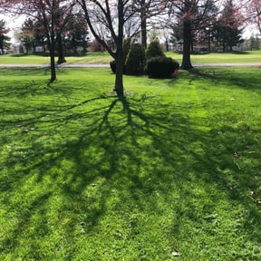 lawn care services by Clean Cut Land Management reviewed on May 7, 2022