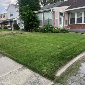landscaping by Alpha Brothers Propery Maintenance reviewed on August 15, 2025