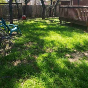 lawn service by Jose Landscaping. reviewed on April 17, 2024