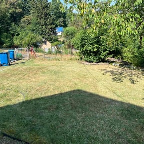 Bush Trimming by Familia landscaping reviewed on August 16, 2025
