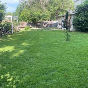 landscape maintenance by CUT Tulsa Lawn Co. reviewed on August 18, 2025