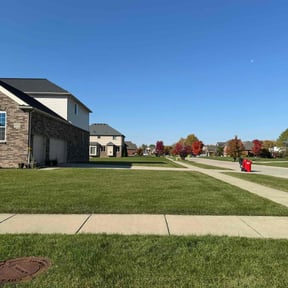 turf maintenance by Stephen Reynolds reviewed on November 15, 2023