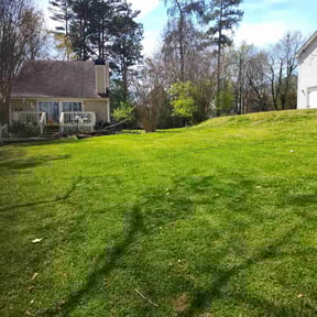 landscaping by Williams Brothers LawnCare reviewed on November 22, 2025