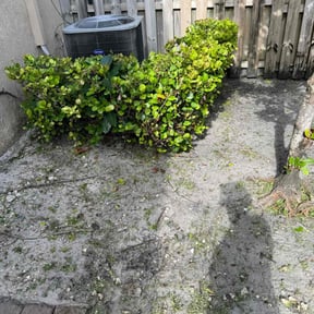 Bush Trimming by Cleveland Grown Lawn and Landscape reviewed on August 21, 2025