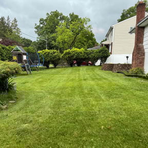 yard maintenance by Tim lawn care reviewed on November 22, 2025