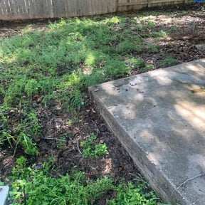 Leaf Removal by Da Price Is Right Lawn Care!! reviewed on September 14, 2026