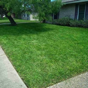 residential landscaping by LFC Lawncare reviewed on September 20, 2025