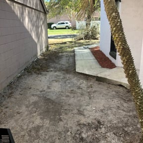 Leaf Removal by Cruz Lawn Care & More, LLC reviewed on August 15, 2025