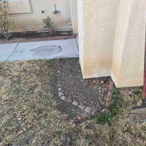 Bush Trimming by Reyes lawcare reviewed on October 19, 2025