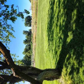 residential landscaping by ForeverGreen Lawn Care reviewed on August 21, 2025