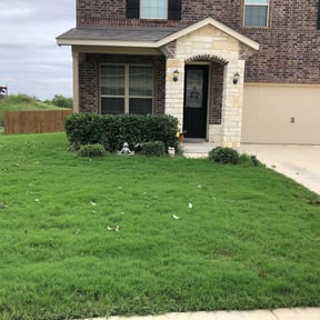 Bush Trimming by RWF lawn service reviewed on August 20, 2025